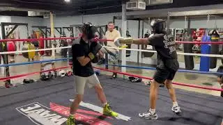 WK16 Powerhouse Boxing Club Alexander sparring at New Wave BC