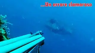 Pesca subacquea 2022: Un clamoroso errore!