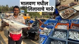 मालवणला गेलो मासेंच्या लिलाववाला आणि हायस्कुल शाळेतील मुलांचे खेळ 🏏 #smmalvani 