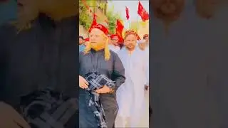 - ANP Sher