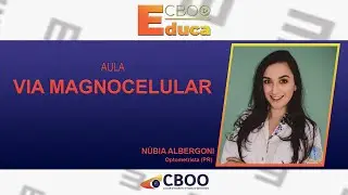CBOO EDUCA - VIA MAGNOCELULAR