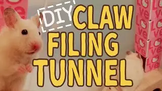 Claw Filing Tunnel ☆HAMSTER DIY☆