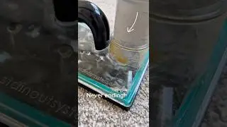 Cat Urine Carpet Cleaning
