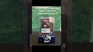 Sports card hits unveiled! #sportscards #groupbreaks #fok #nba