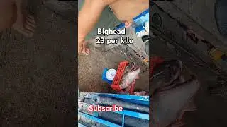 maraming Huli #music #fishing #highlights #everyone