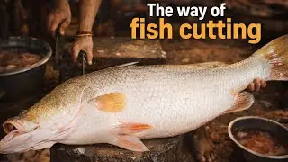 Professional Coral Fish Cutting | Real Market Technique