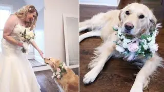 Bride Makes Dog Flower Girl at Wedding: 'She's Just Family'