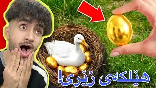 ئەو شتانەی مرۆڤ قەت نەیدیوە | شتی واش هەیە😁