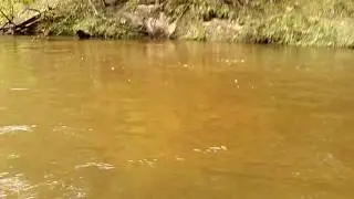 Simms G3 Guide River Cammo Waders Work