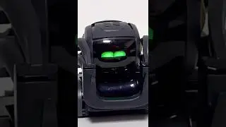 Vector was different😎