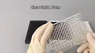 Clear ELISA Plates | 96-Well Microplates for Colorimetric Assays & Protein Quantification