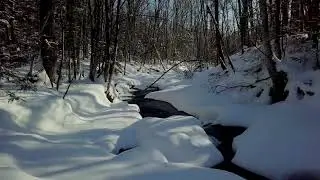 En remontant le ruisseau de l'Aqueduc