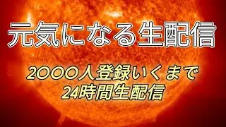 元気になるまで24時間配信　初見さんも気楽にコメント宜しくお願いします⭐️