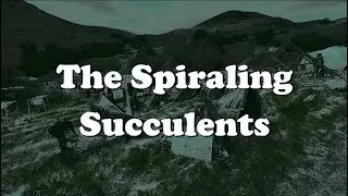 The Spiraling Succulents (Cal Poly SLO Design Village '24)