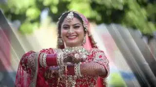 # wedding highlight