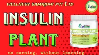 Wellness Samridhi#Product tranining#insulin plant #by Platinum star Munshi sir