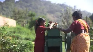 People of the Blue Mountains