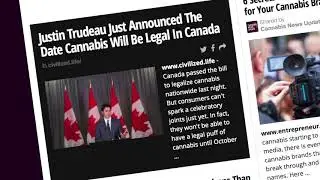 Cannabis News Update - June 21, 2018