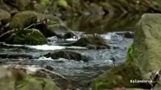 Barangolás - Bakony, Gaja-szurdok