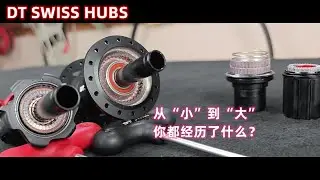 DT SWISS DEG花鼓+FR541車圈自編：天生山地好幫手，不僅僅是從小到大的區別