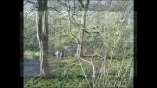 46 River Crane