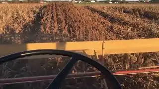 Massey Ferguson 860 combine harvester
