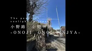 The power of sunlight in Japan ONOJI ONO JINJYA