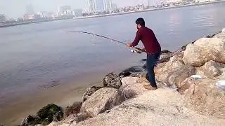 Ajman fishing - 1. Big size nagroor