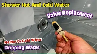 Single Shower valve hot cold leaking or no water cartage replacement
