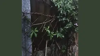 She isn't real (slowed)