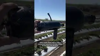Креативный способ повторного использования ПЭТ-бутылок для защиты сельскохозяйственных угодий.