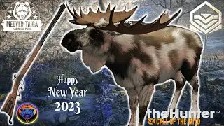 Grinding Moose on Medved Taiga Pays Off !  PIEBALD GIANT !  Hunter Call of the Wild  4K PC