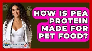 How Is Pea Protein Made For Pet Food? - Ask A Pet Vet