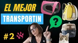 TRANSPORTIN y GATOS #2: cuál es el MEJOR TRANSPORTIN para tu gato 🐱 (guía práctica)