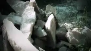 ArtOmnia  Ionut SERBAN