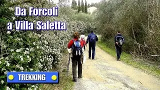 TREKKING  Da Forcoli a Villa Saletta - di Sergio Colombini