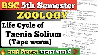 Life cycle of Taenia Solium hindi notes pdf || life cycle of Tape worm || bsc 5th semester zoology 