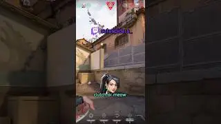 она назвала меня папочкой... Twitch: cutespiders_ #valorant
