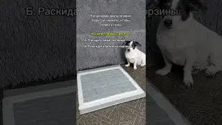 Артикул WB: 765794983 OZON: 3407477622 ЯМ: 5049161769 Cупервпитывающие пеленки OK, Poodle #юмор