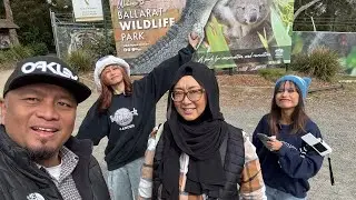 Melbourne Spring Break - Ballarat Wildlife Park/Halls Gap