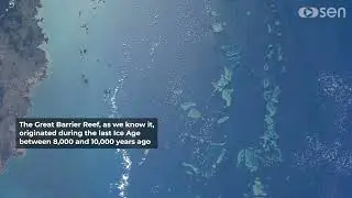 The Great Barrier Reef filmed from space in 4K by Sen's cameras on the International Space Station