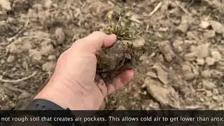 Rough Soil challenges in cold soils when planting corn or soybeans | Setting the planter