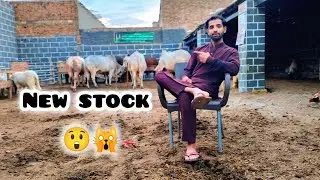 Aap Sab Ke Dua Sa Ek Bar Phir Sa Come back | talish Khan lifestyle 