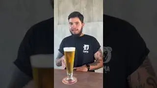 Conhe&ccedil;a a diferen&ccedil;a das nossas 3 Pilsners.🍺🍺🍺