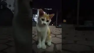otekkk😭😭
