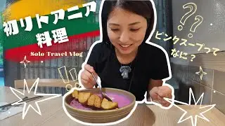 Solo Travel Vlog | 世界一周・ワルシャワから約9時間半の鉄道移動・リトアニアのヴィリニュスへ