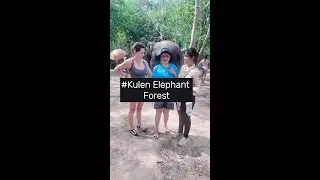 Kulen Elephant Forest