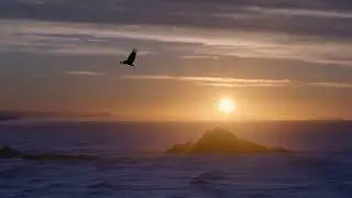 Piano music| 8 hours 58 mins 47 s3comds of relaxing in nature | Final meditation 14