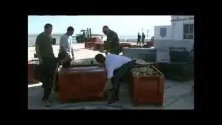 Islotes Españoles en la Costa Africana: Alhucemas