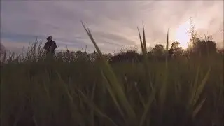 FPV Goby 180: one minute onboard...